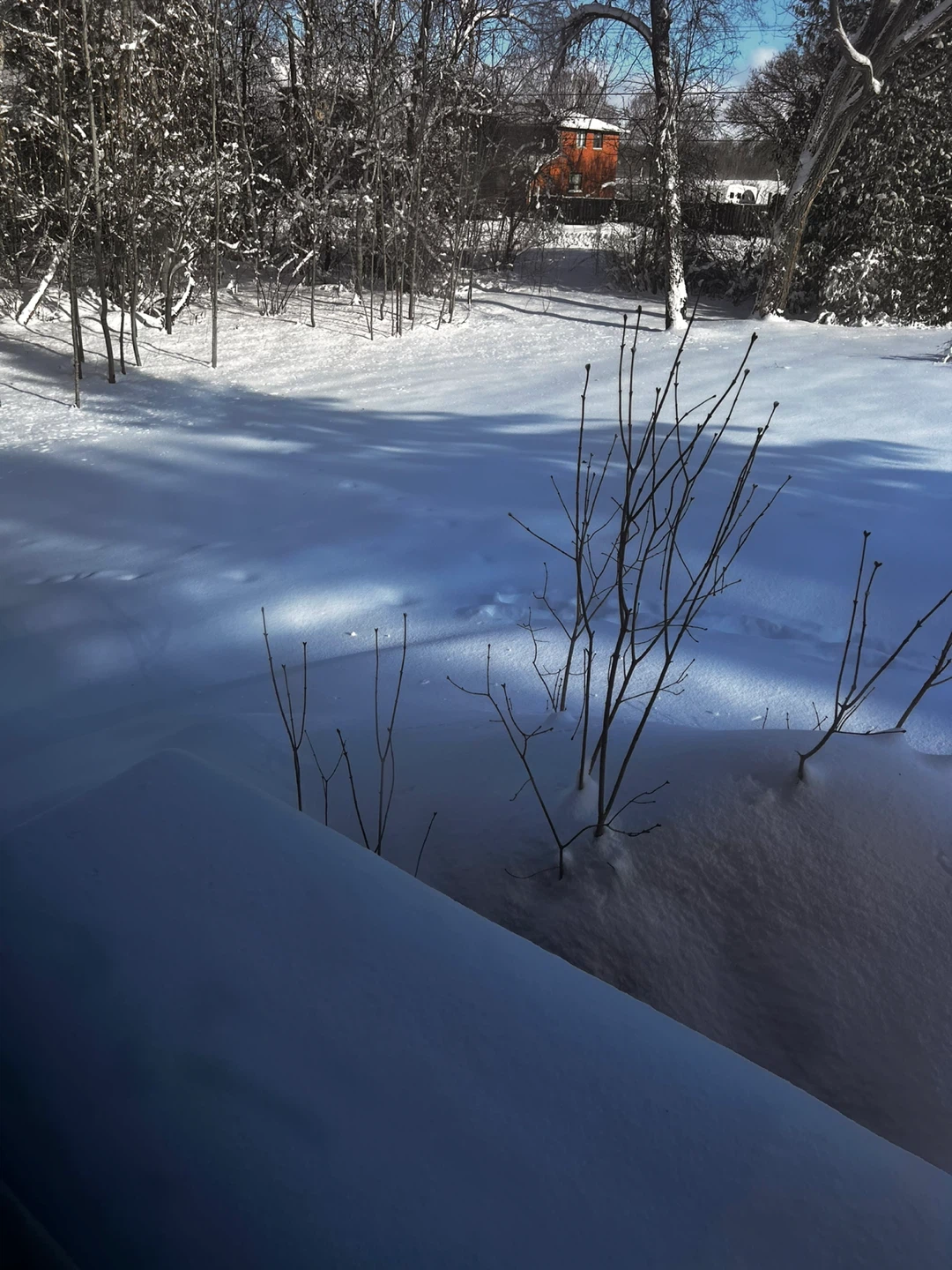 SNOW AND ICE CLEAN UP REMOVAL - photo 2