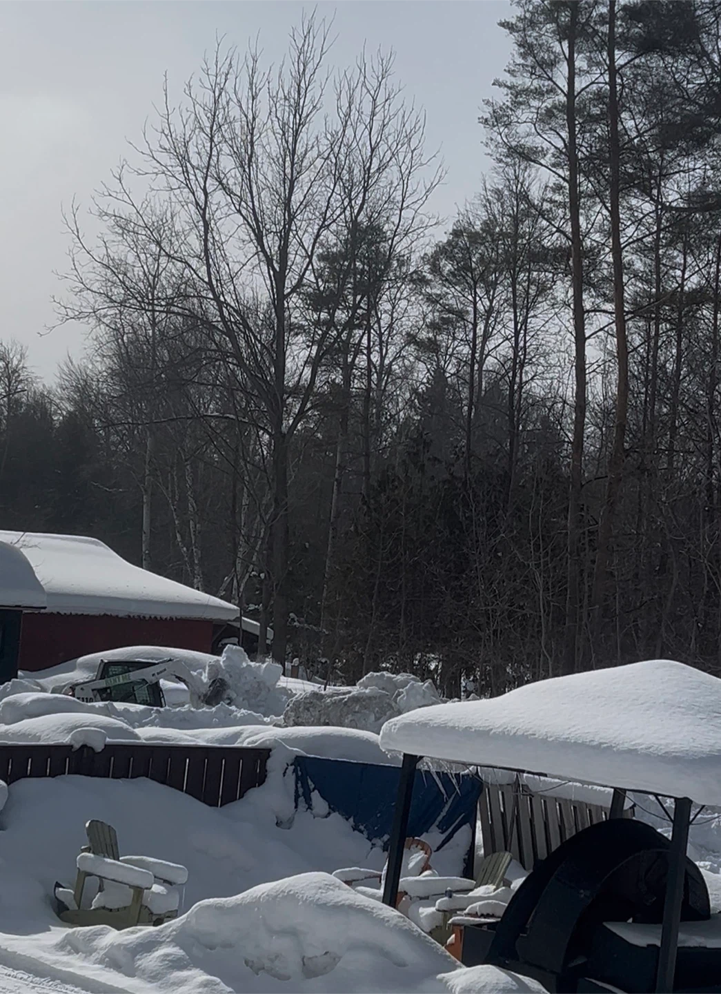 SNOW AND ICE CLEAN UP REMOVAL