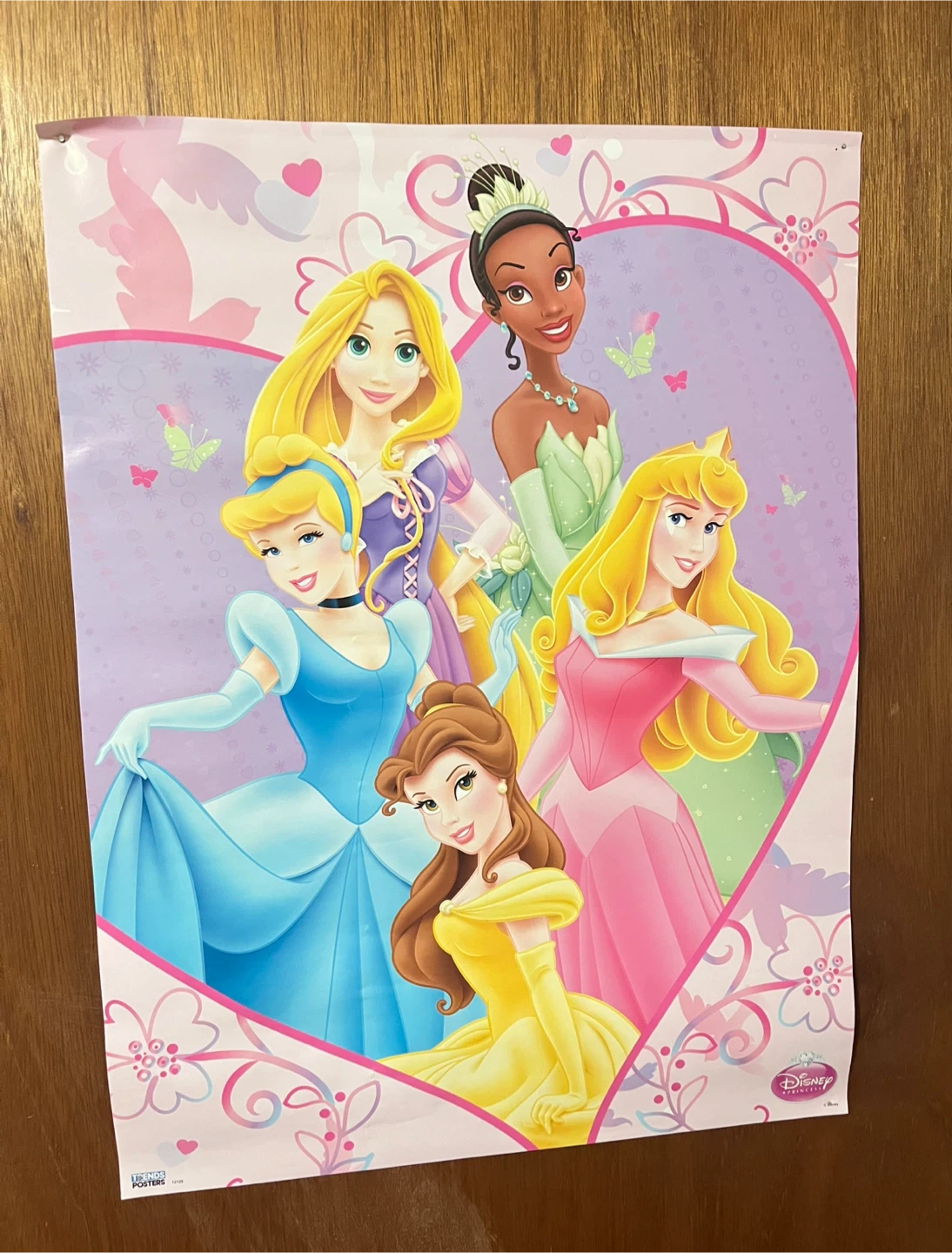 Disney Princesses Poster 18" x 24" 🏆