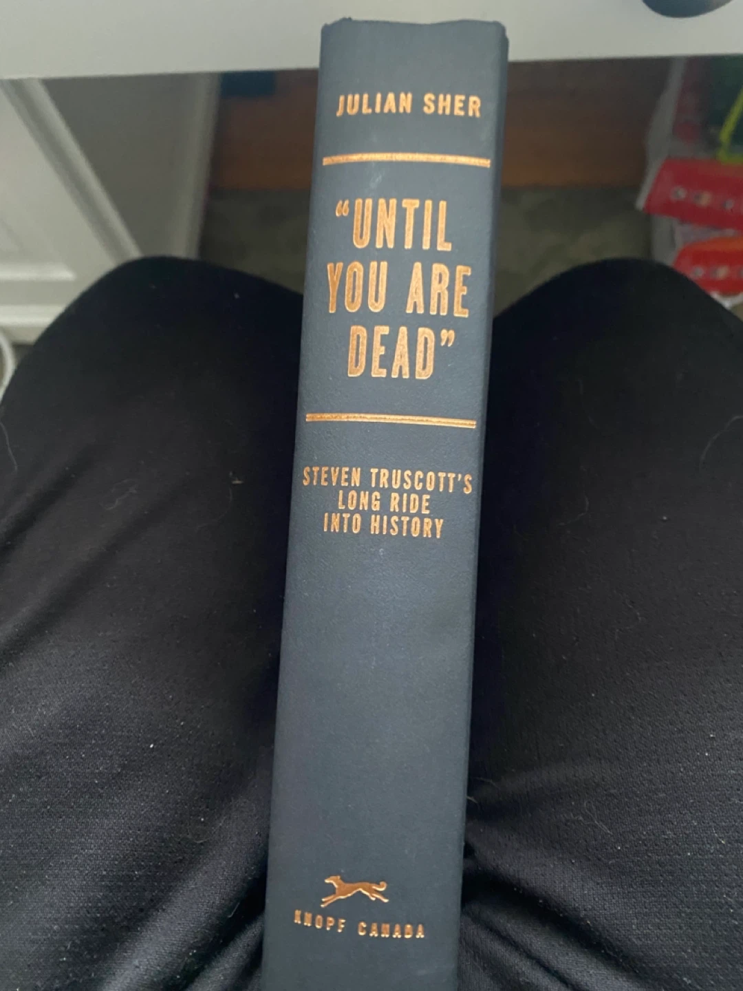 "Until You Are Dead" by Julian Sher