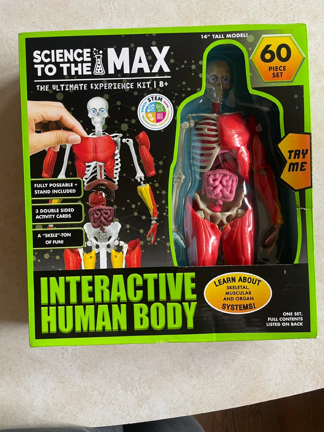 new! sign to the max ultimate skeleton kit