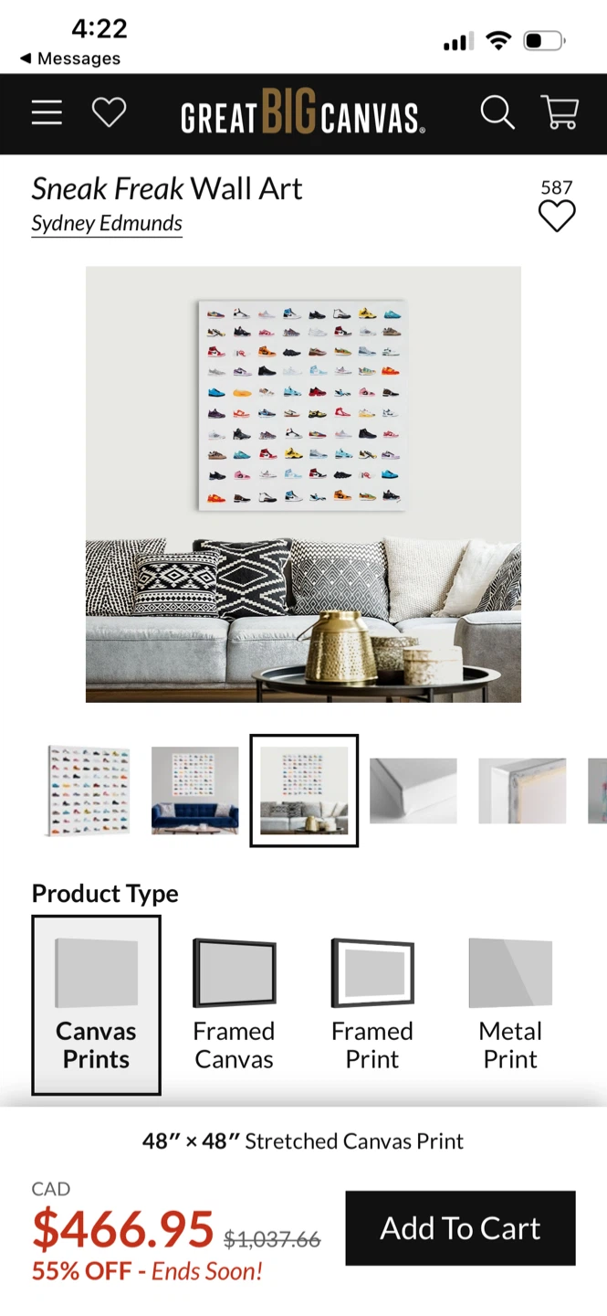 🏆 “Sneak Freak" canvas Wall Art 48” x 48” - photo 5
