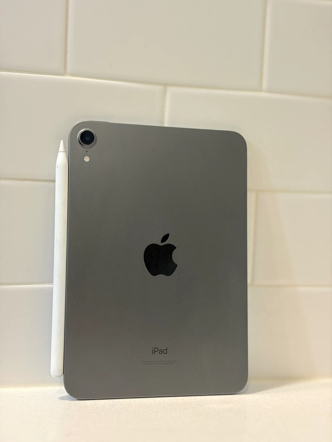 Apple iPad Mini 6th Gen W/ Apple Pencil Gen 2