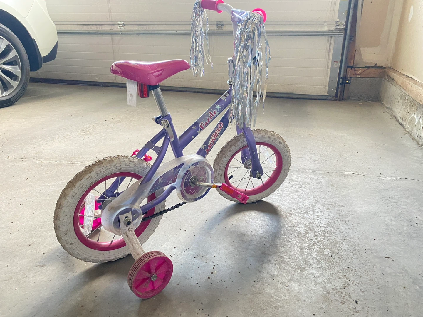 Kids Purple and Pink Training Bike