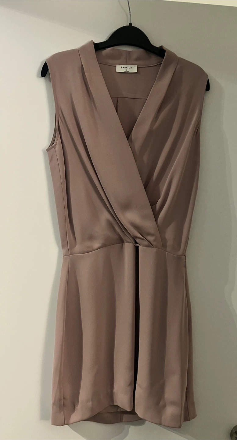 Babaton Sleeveless Draped Mini Dress 🏆