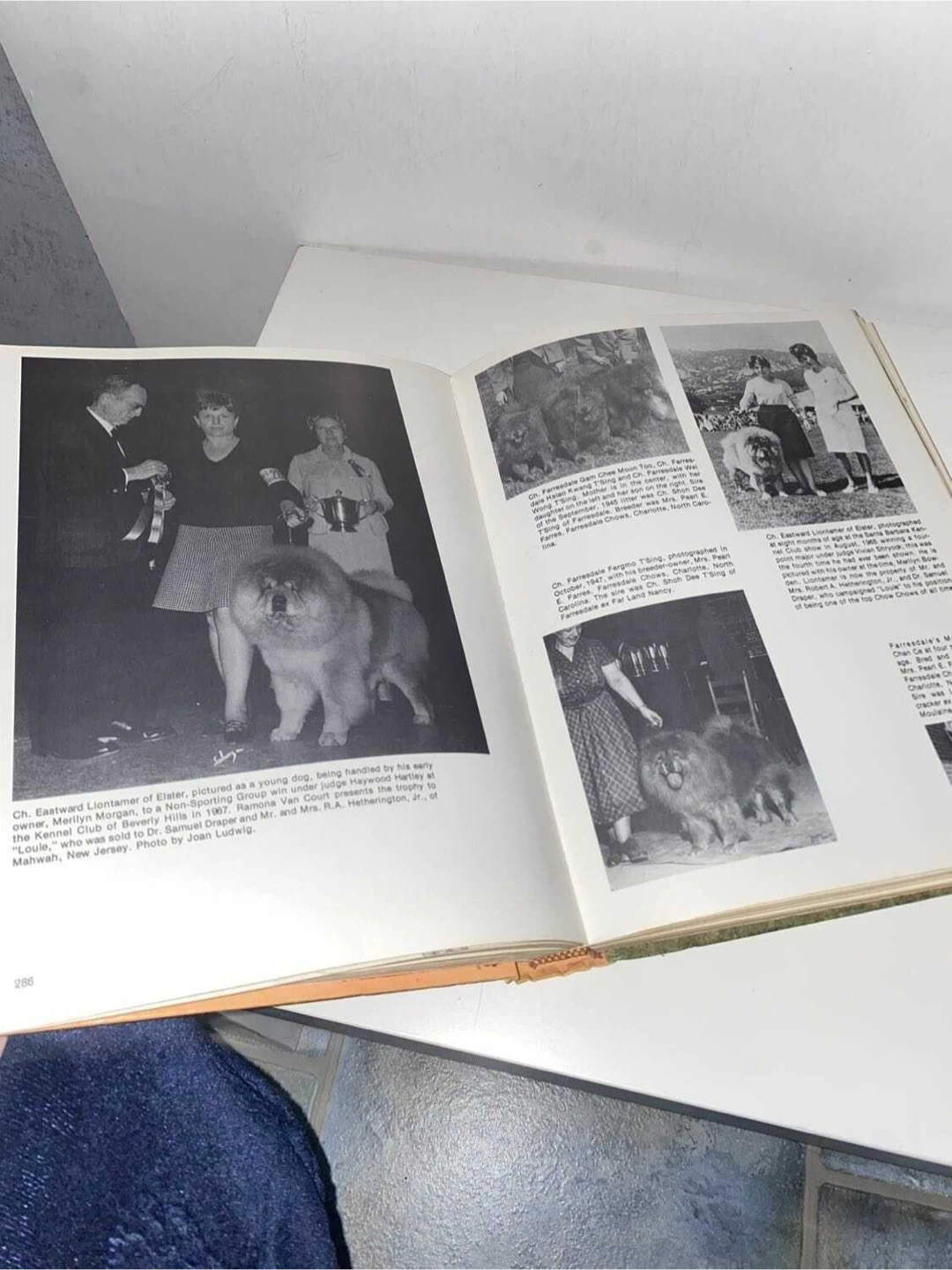 Vintage chow chow book - photo 3