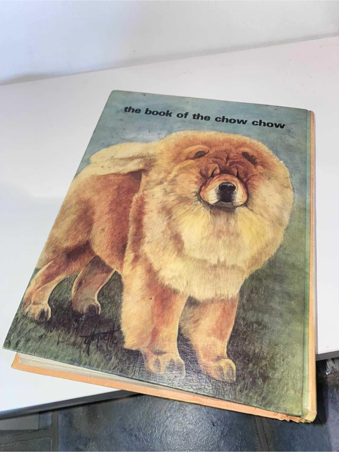 Vintage chow chow book - photo 2