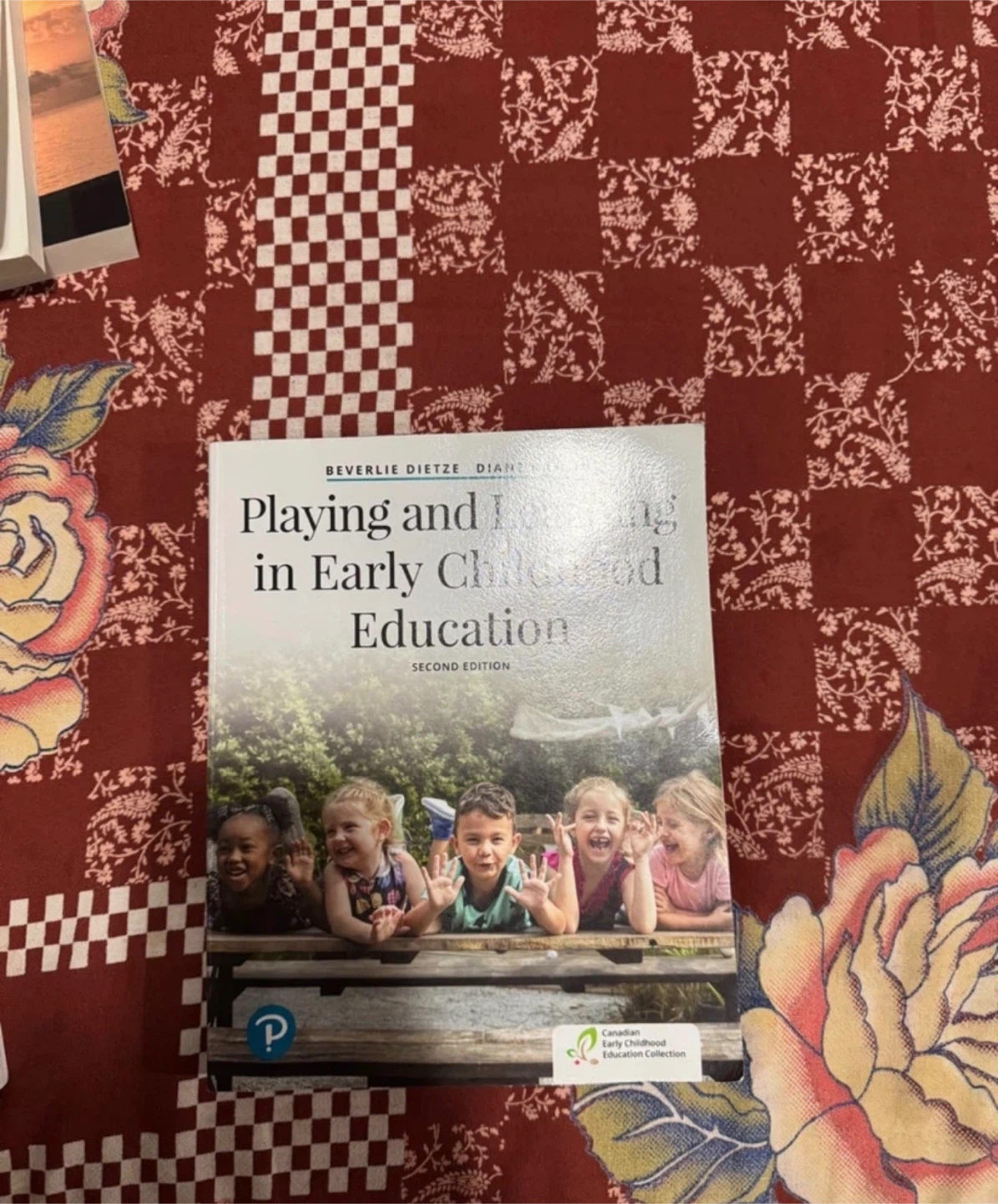 Playing and Learning Education textbook