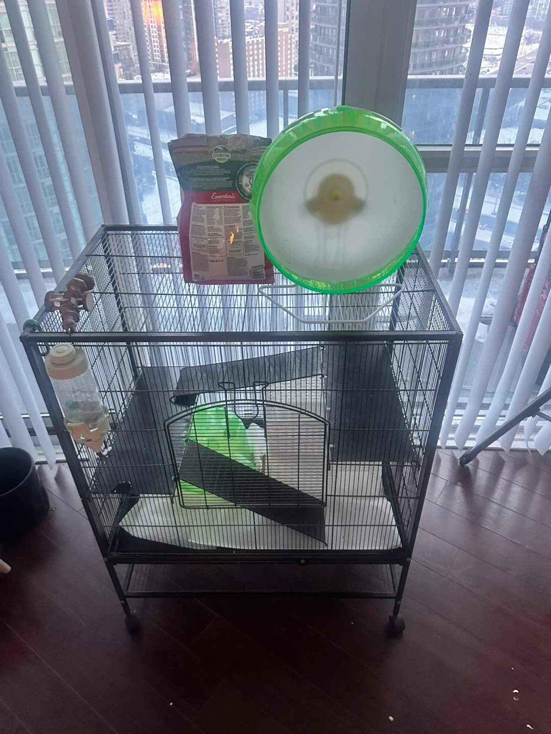 Critter Nation Small Animal Cage with Accessories