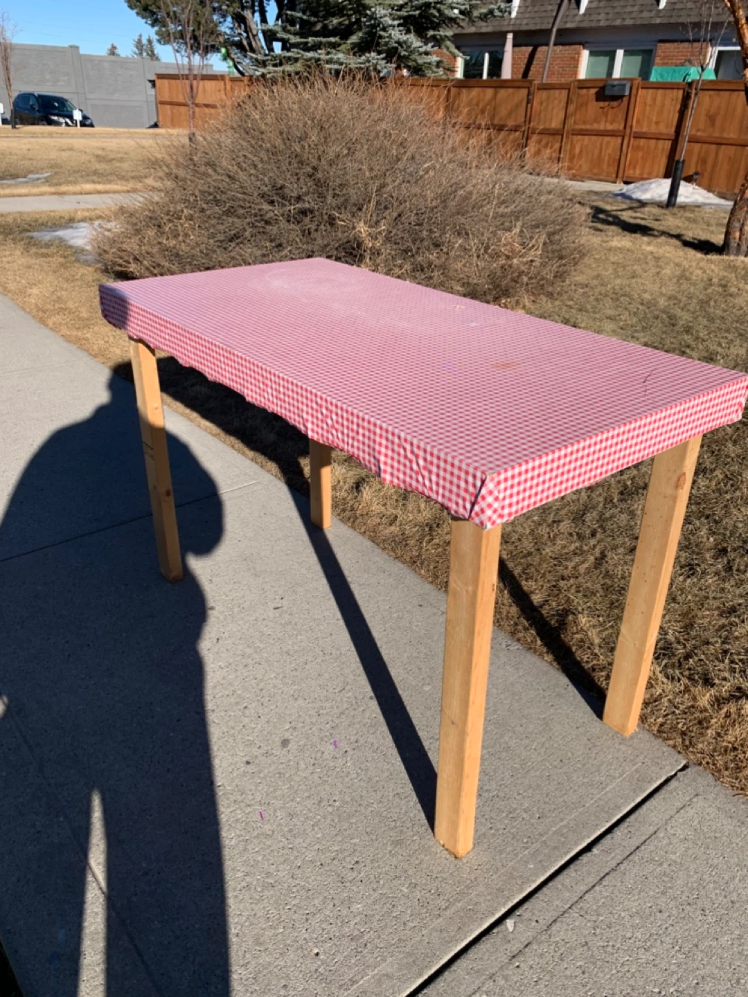 Wooden Table with Red Checkered Cover / furniture tables - photo 3