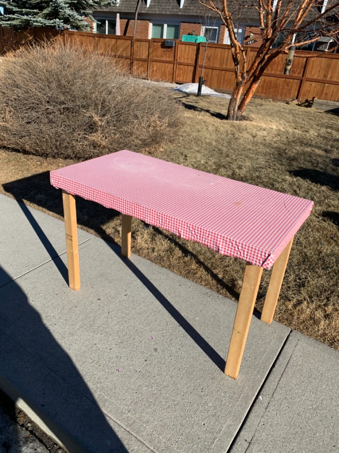 Wooden Table with Red Checkered Cover / furniture tables