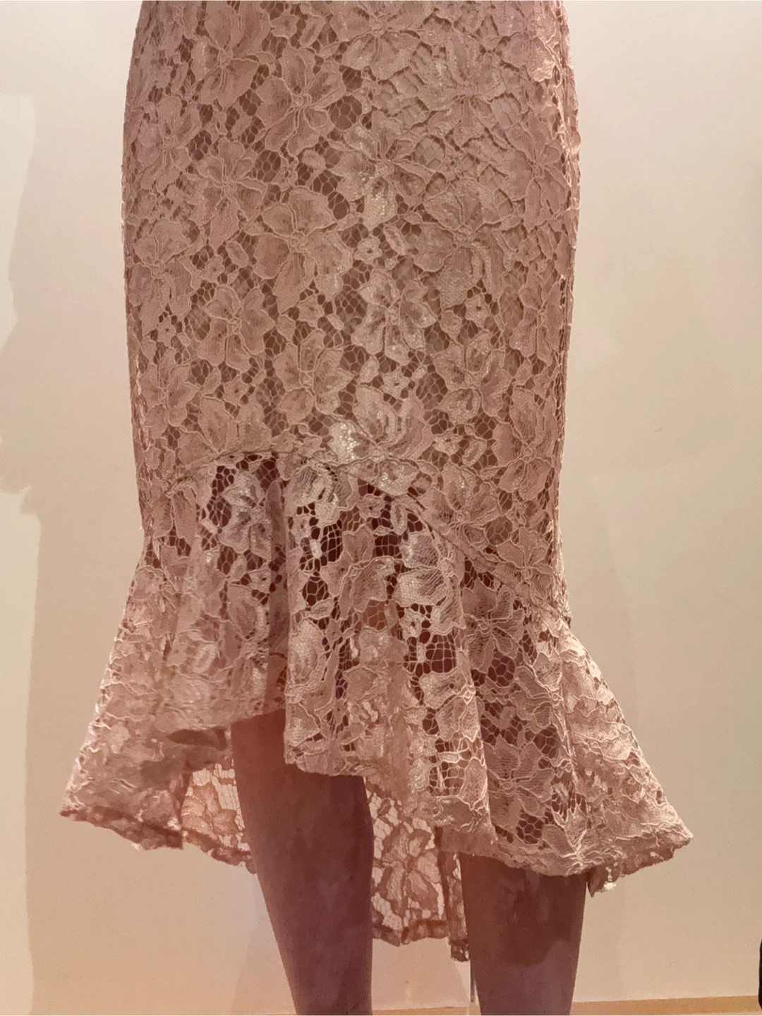 Alexa B. Pink Lace Dress Size 6 - photo 5