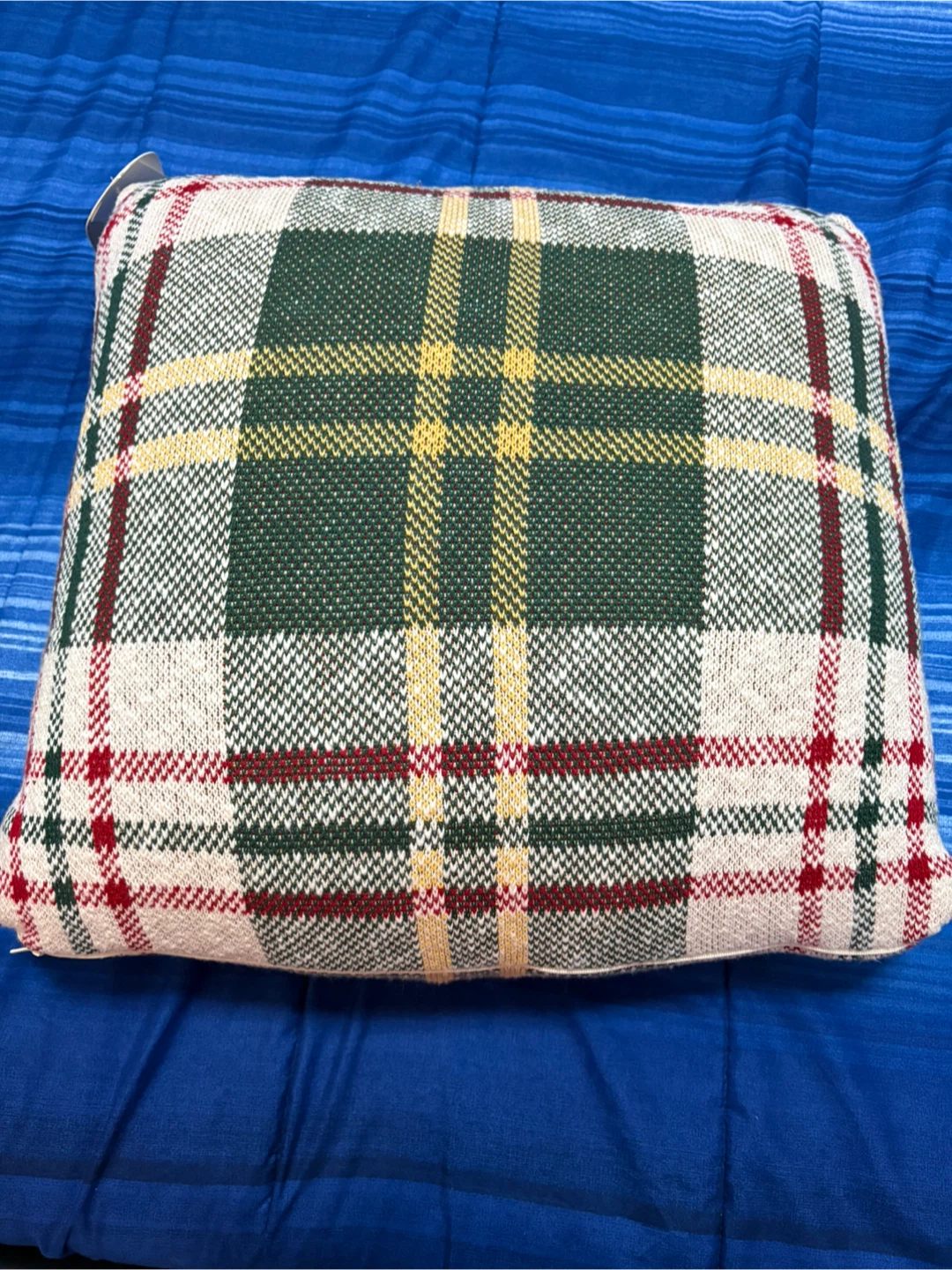 BNWT Pillow/ Cushion