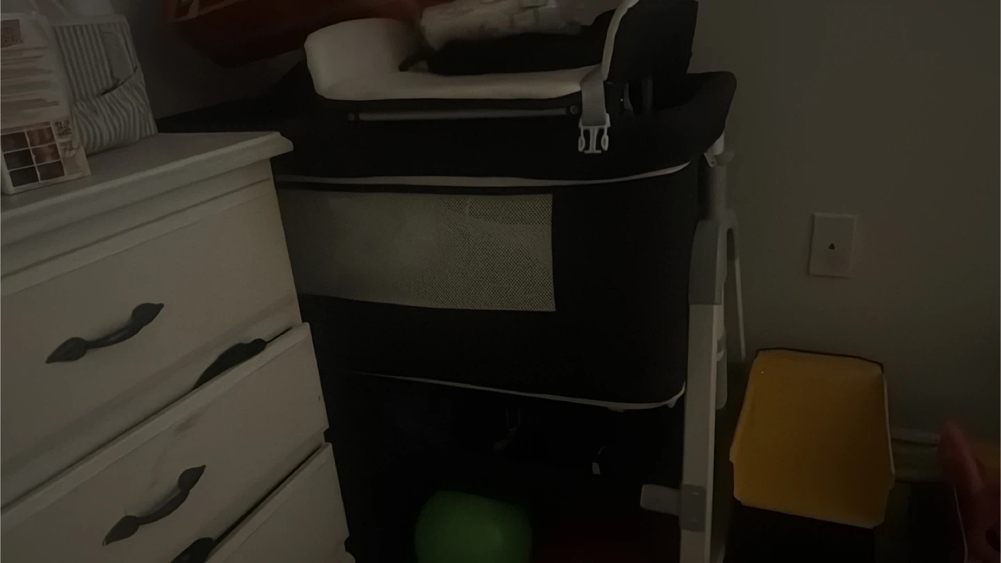 Portable Bassinet - photo 4