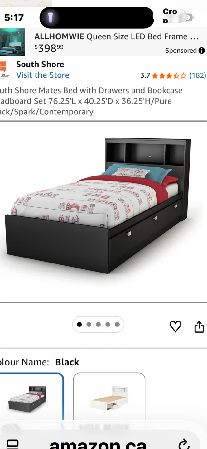 Twin Mates Bed with bookcase headboard