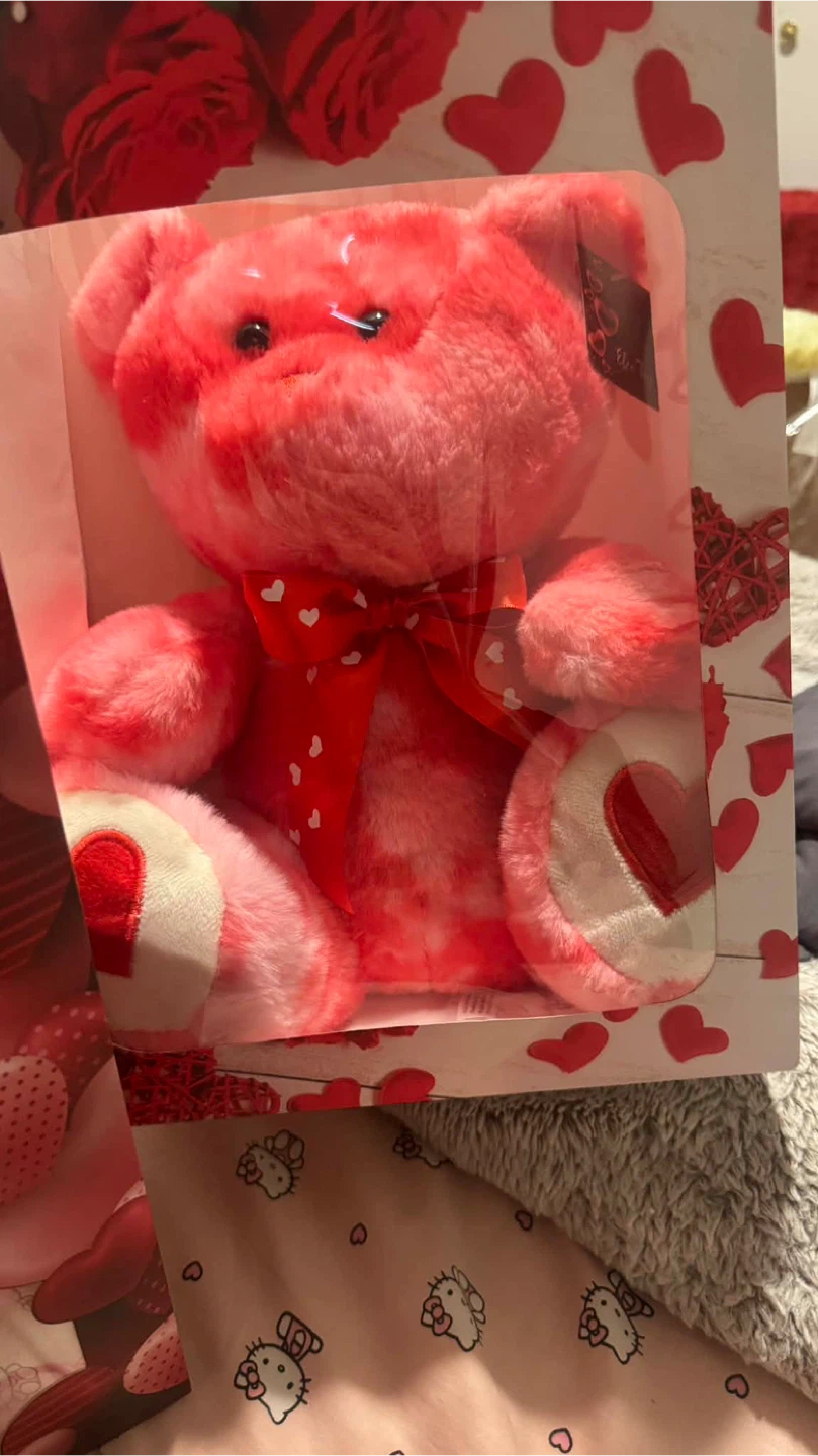 Pink Light-Up  and song Teddy Bear Plush Toy