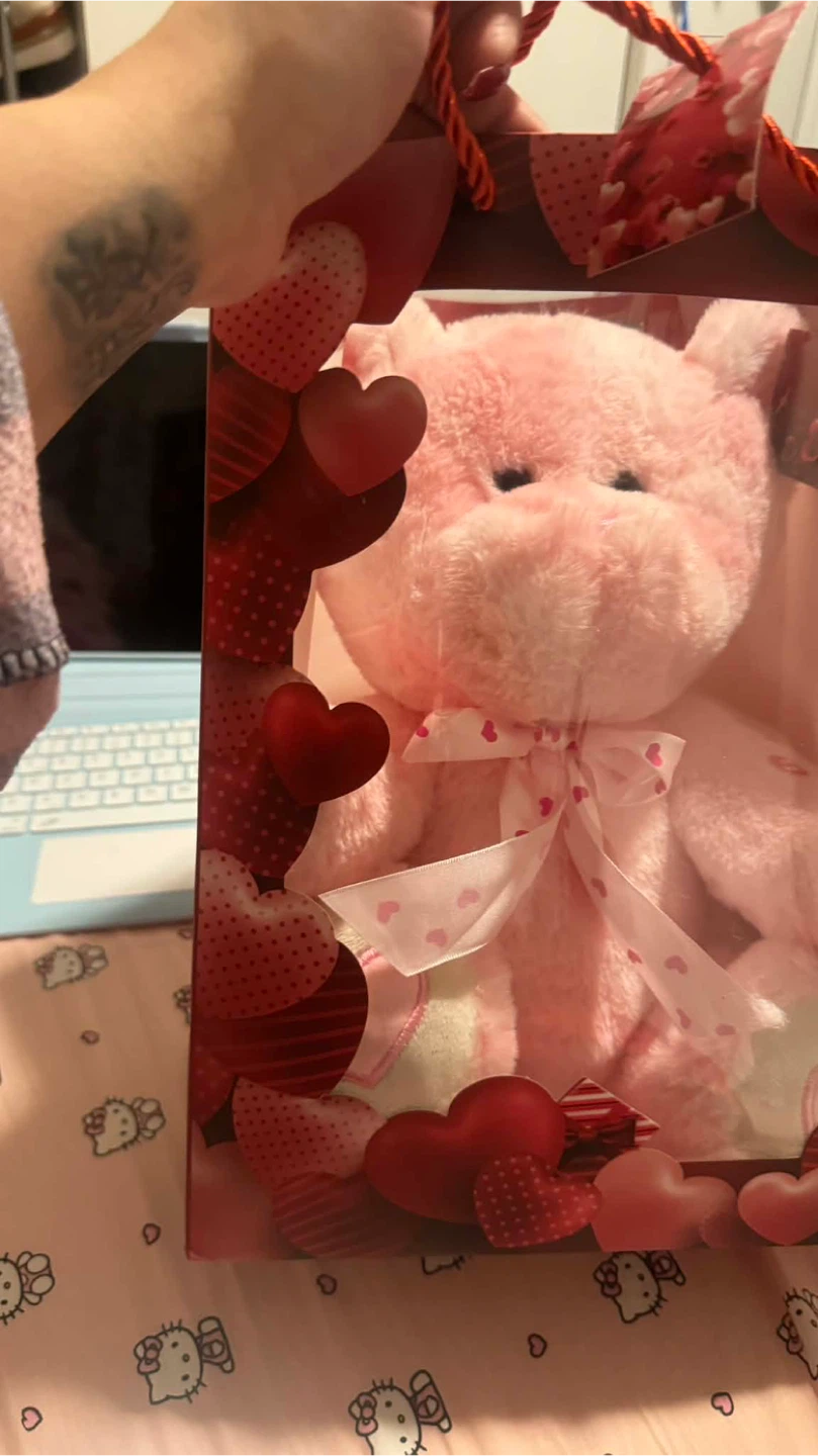 Pink Light-Up  and song Teddy Bear Plush Toy - photo 2