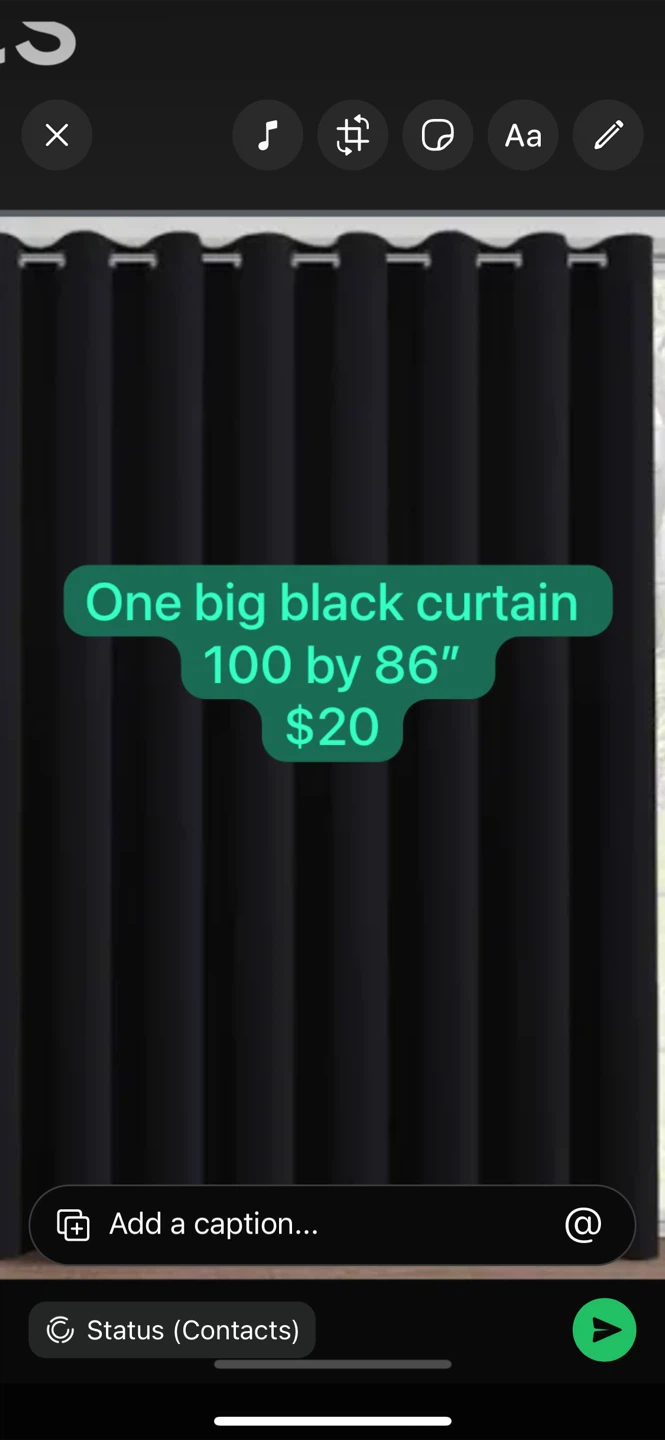 Black Curtain - 116 by 80 inches - photo 2