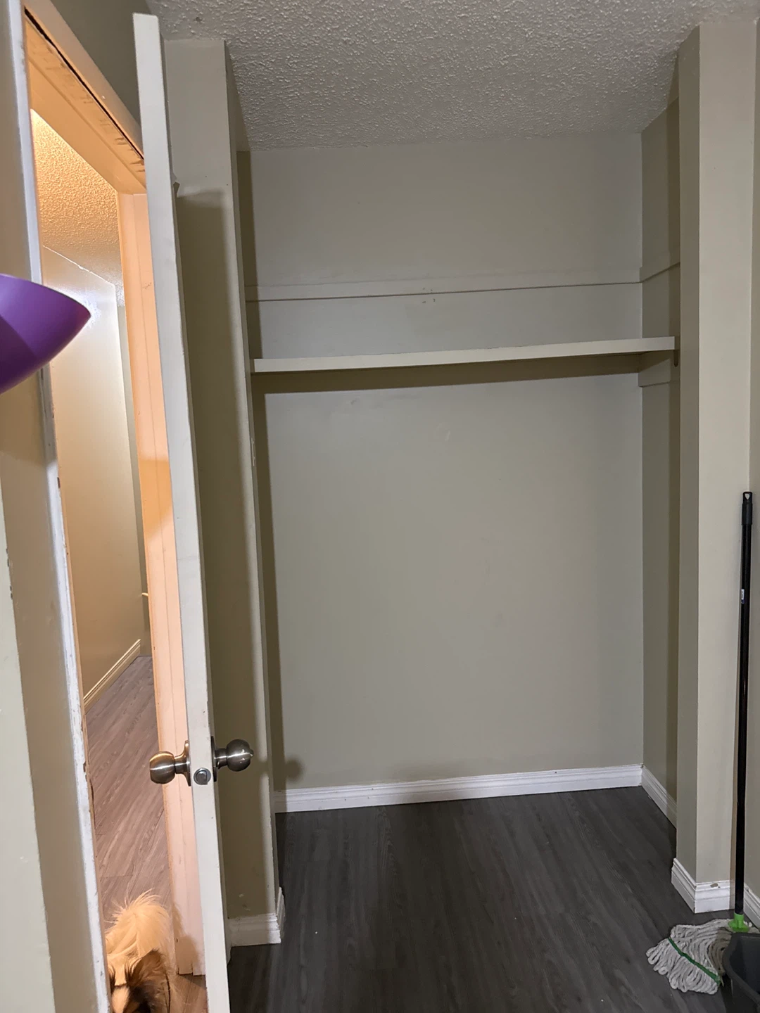 Room for rent - photo 2
