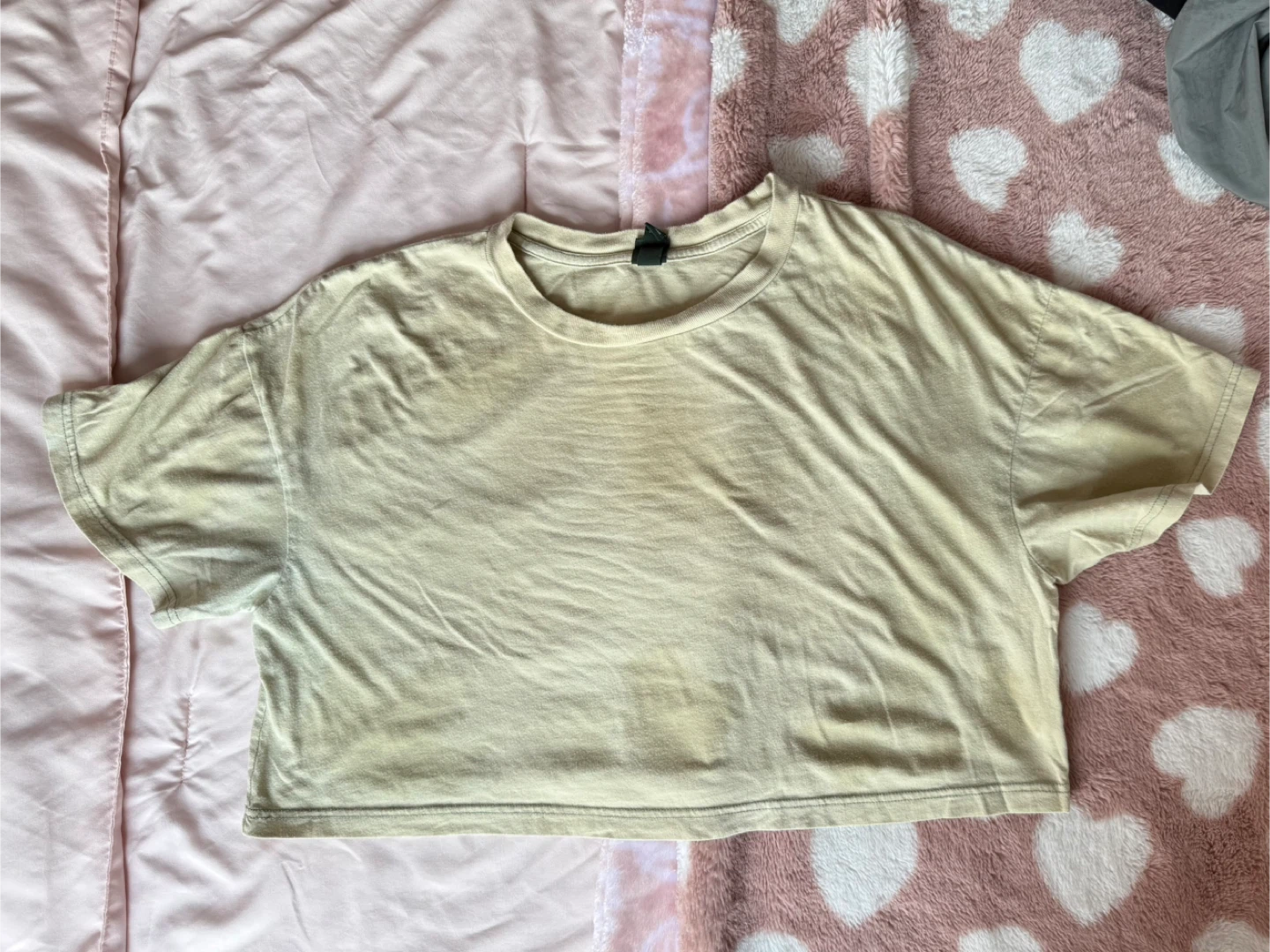 Wild Fable Women's Cropped T-Shirt Size L 🏆