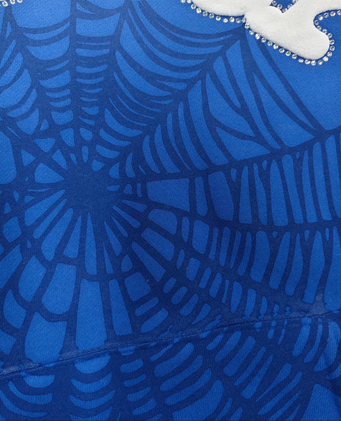 Spider Worldwide Hoodie - photo 4