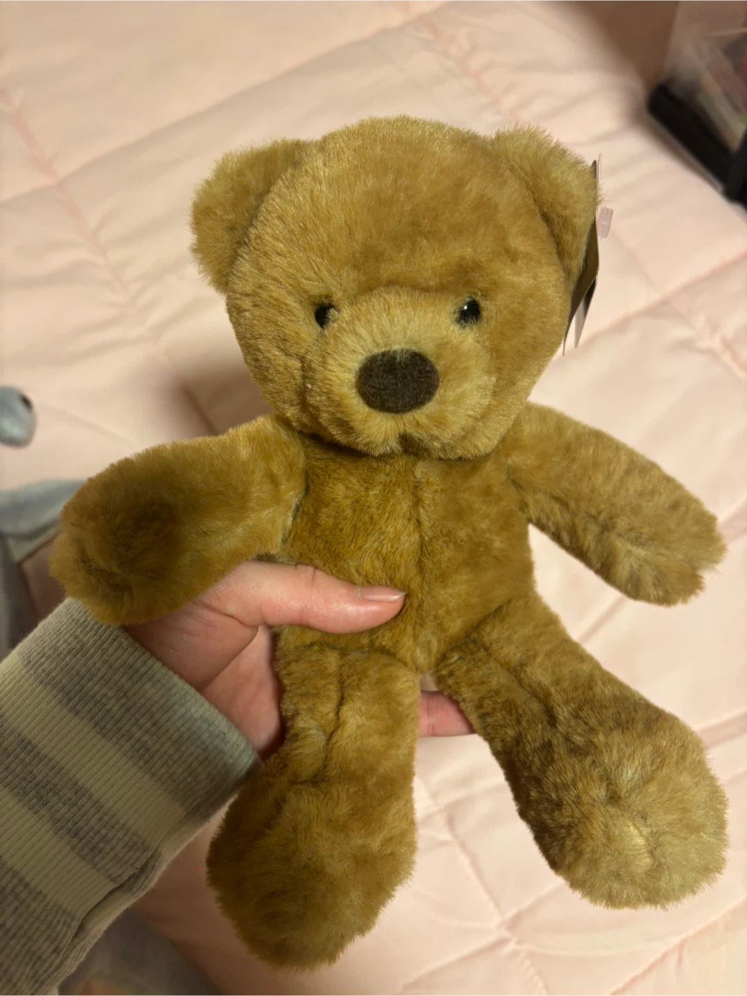 Aurora Plush Teddy Bear - photo 4