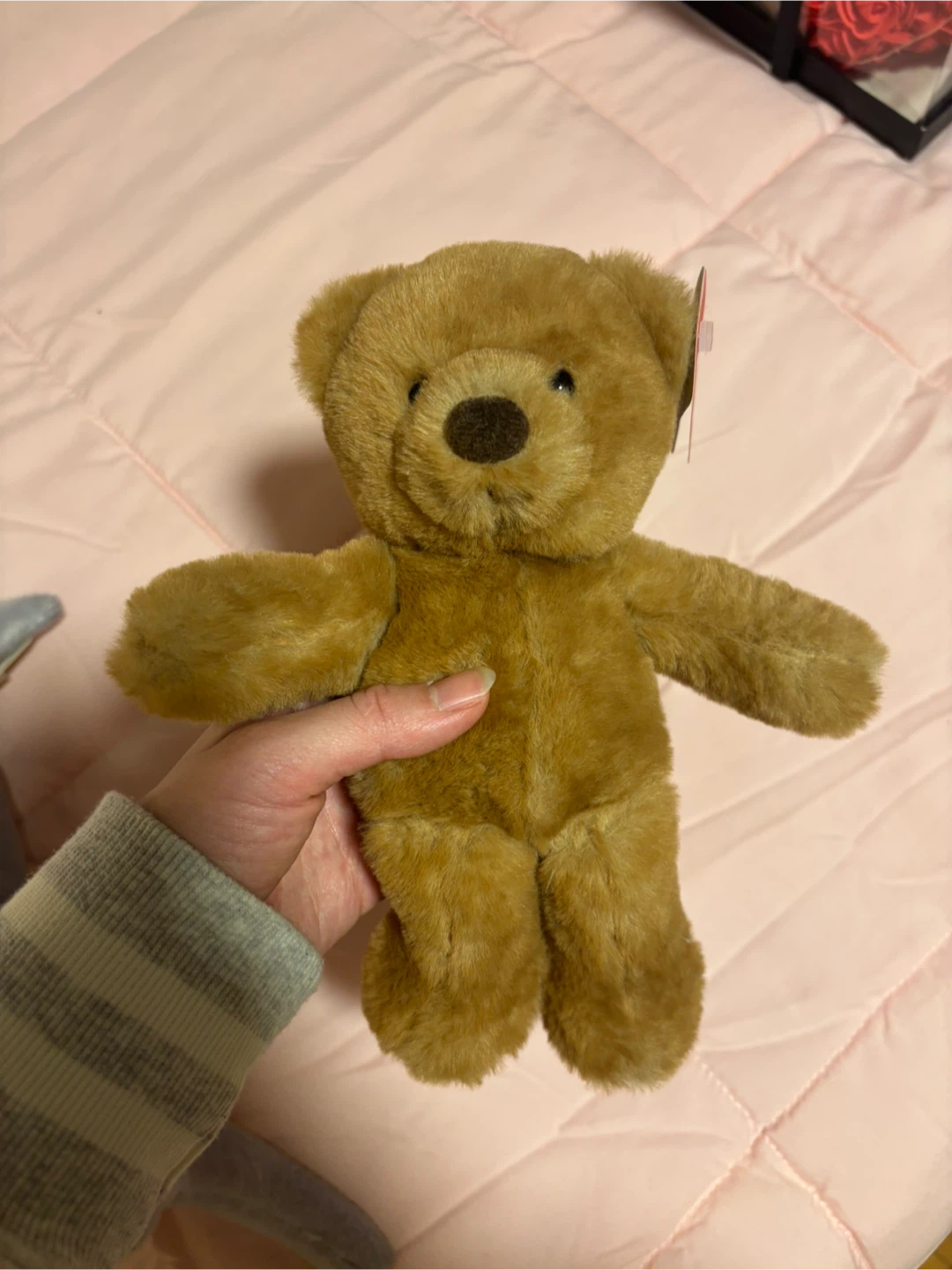 Aurora Plush Teddy Bear
