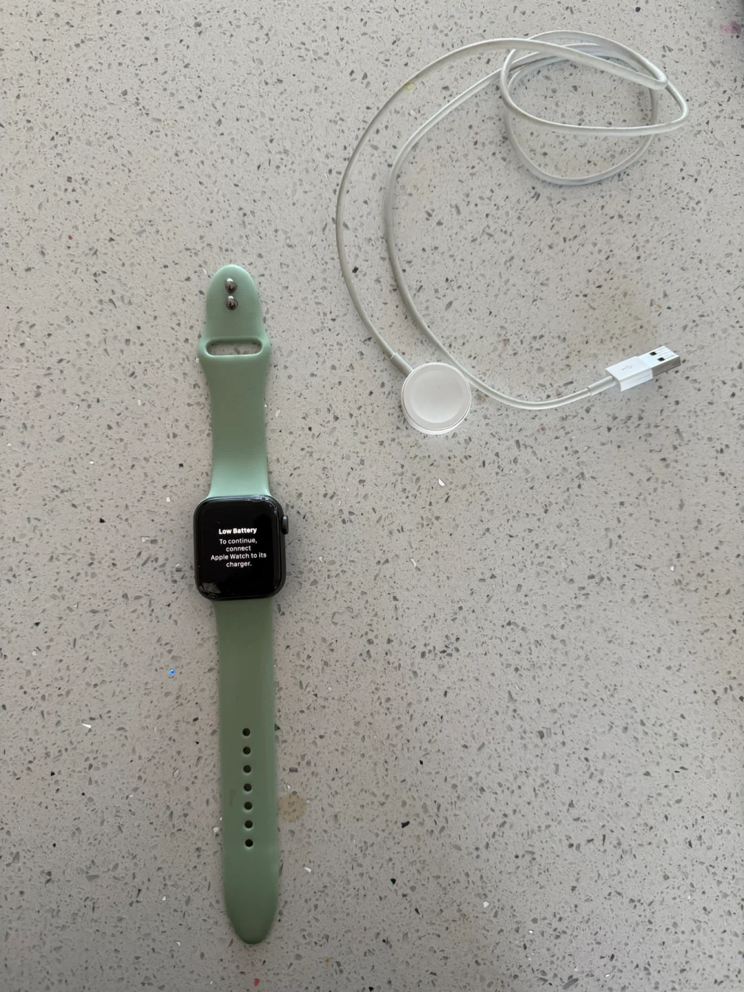 Apple Watch SE (2nd Gen) with Light Green Band - photo 4