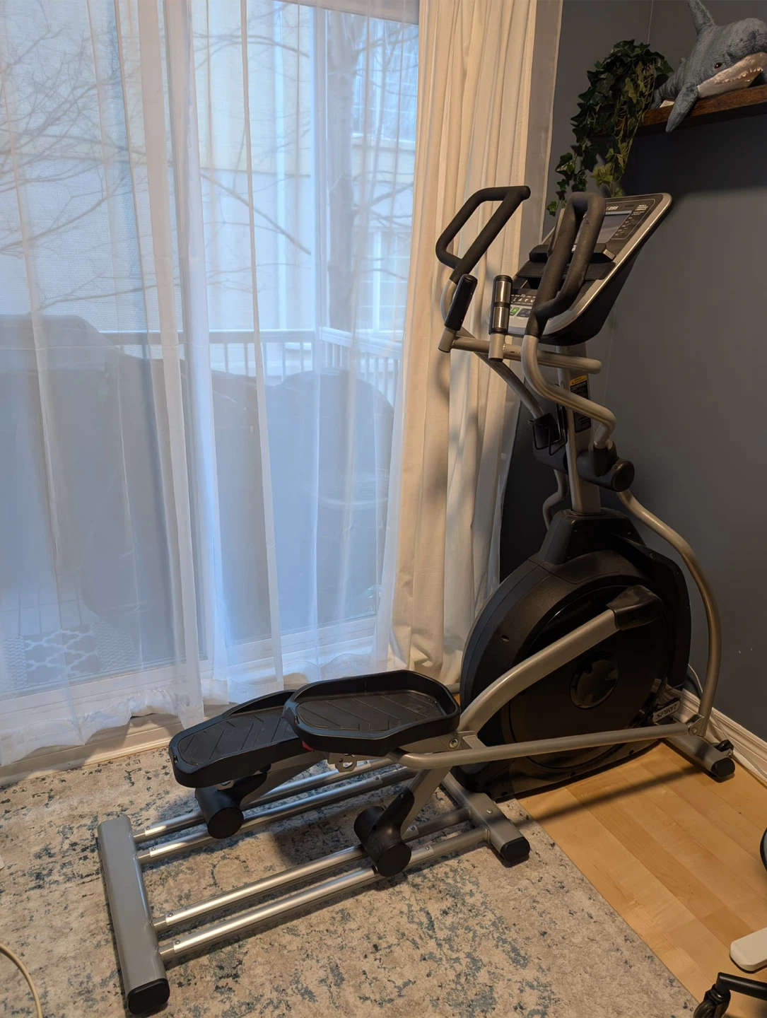 Spirit XE295 Elliptical - need gone URGENT