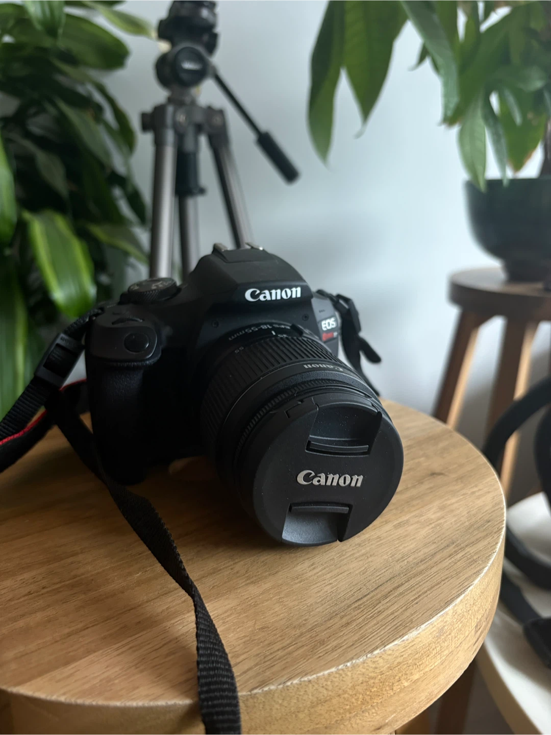 Canon EOS Rebel T7 DSLR Camera with 18-55mm Lens