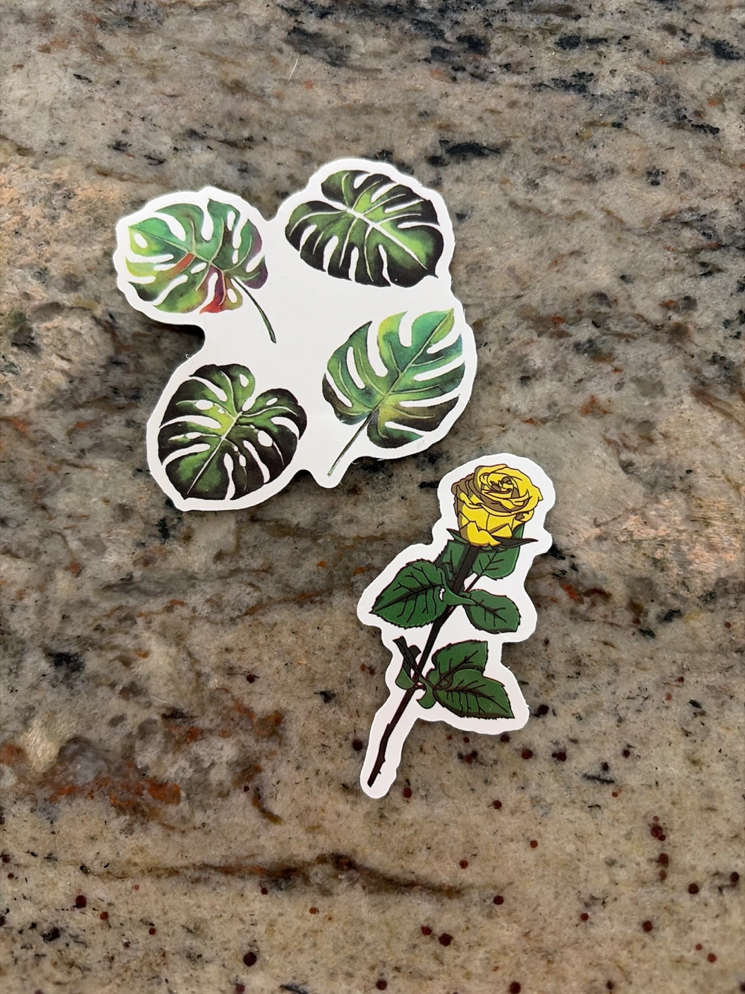 Monstera leaf and yellow rose stickers 🏆