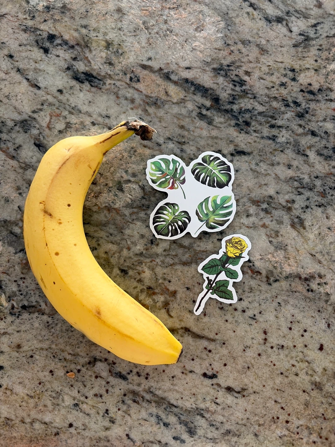 Monstera leaf and yellow rose stickers 🏆 - photo 2