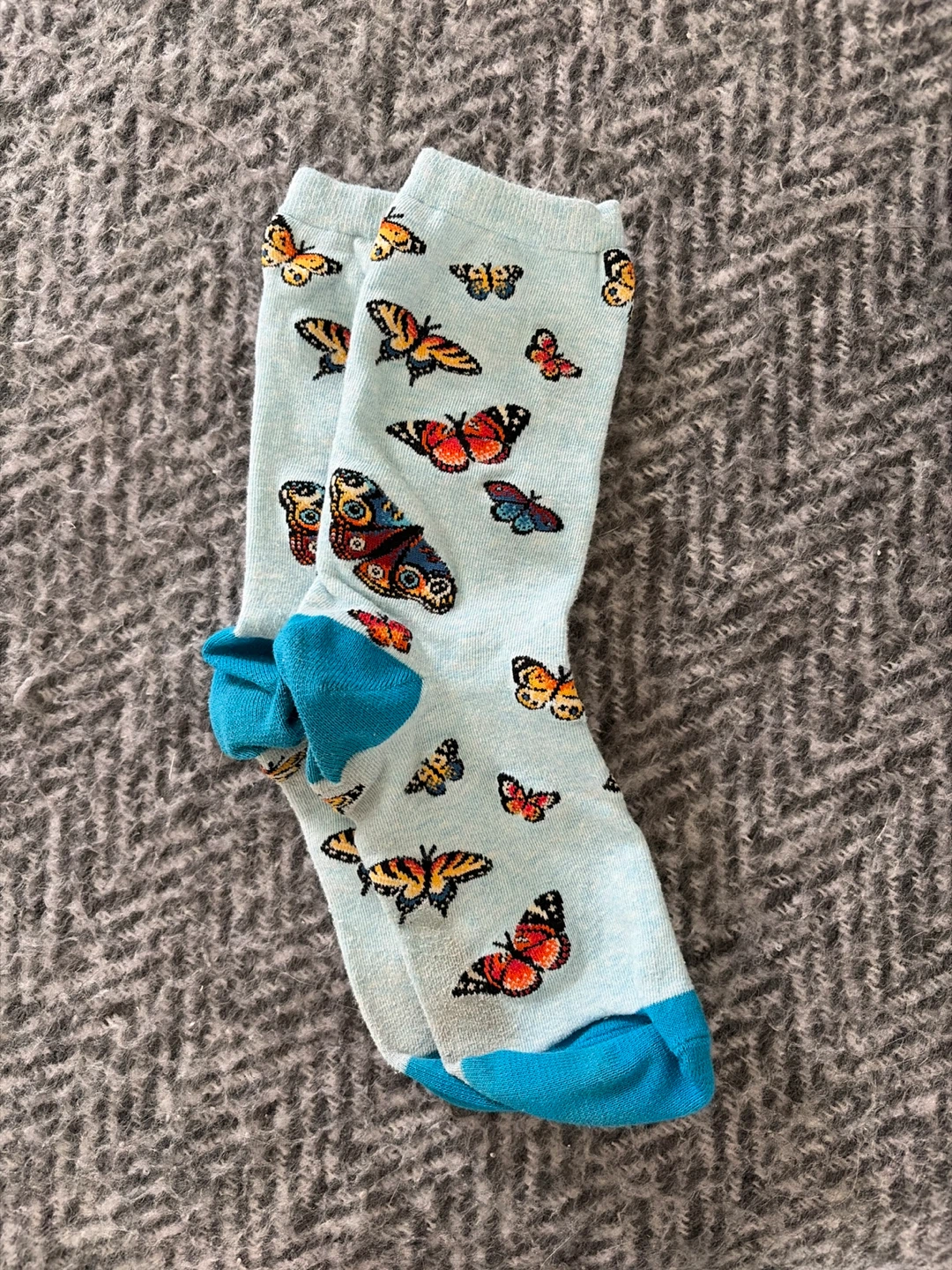 Light Blue Butterfly Socks 🏆