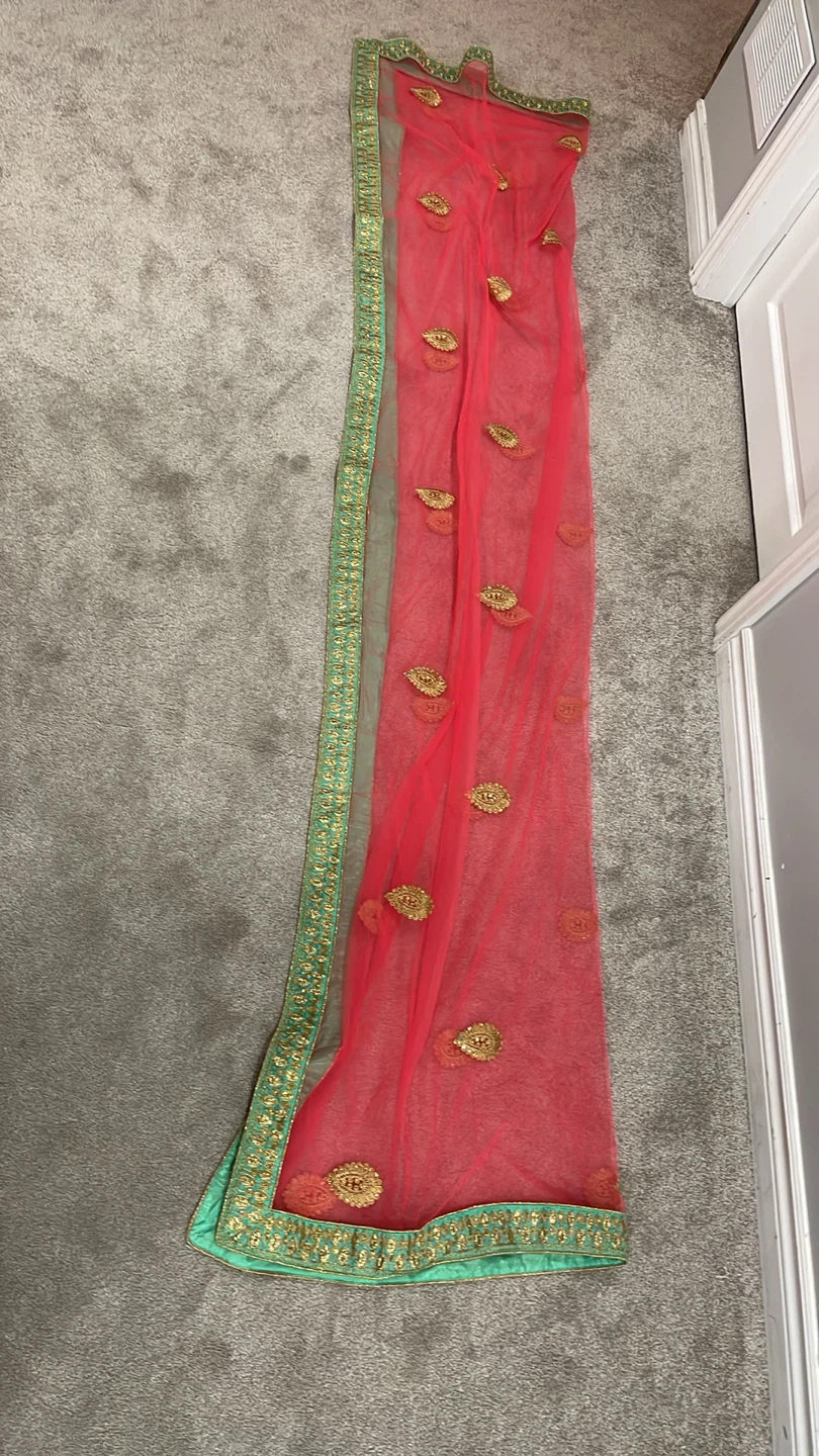 Pink Embroidered Net Dupatta with matching Blue Blouse - photo 2