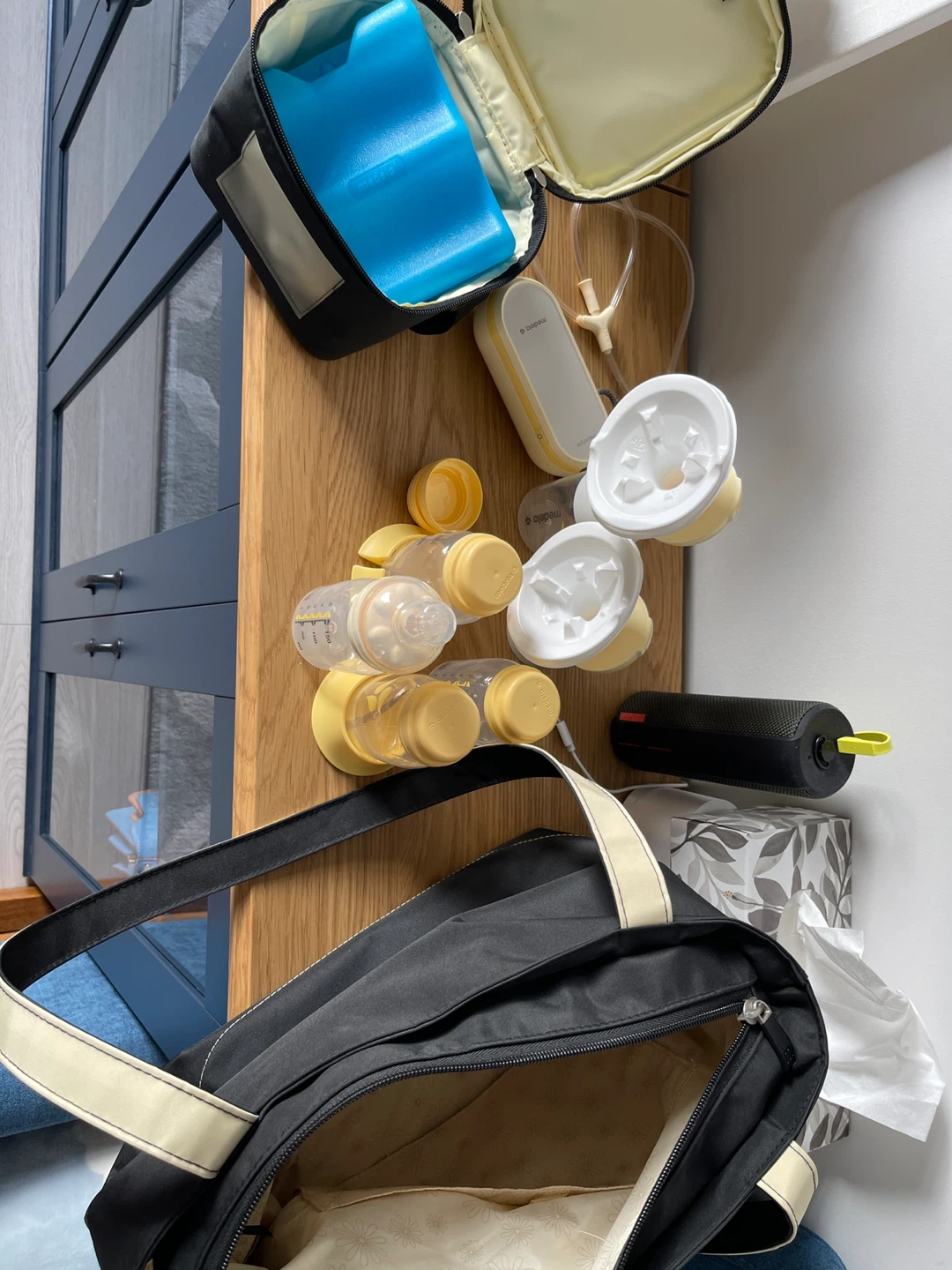 Medela Electric Breast Pump with Bag and Accessories - photo 2