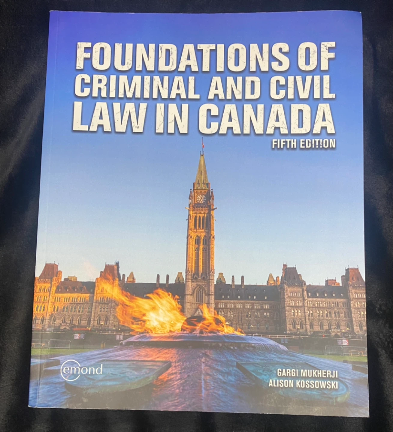 Foundations of Criminal and Civil Law in Canada, Fifth Edition 🏆 - photo 2