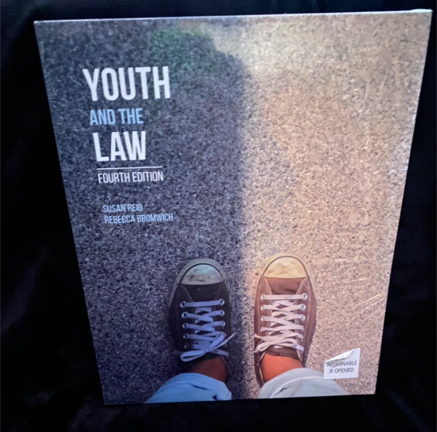 Youth and the Law, Fourth Edition Textbook 🏆 - photo 2