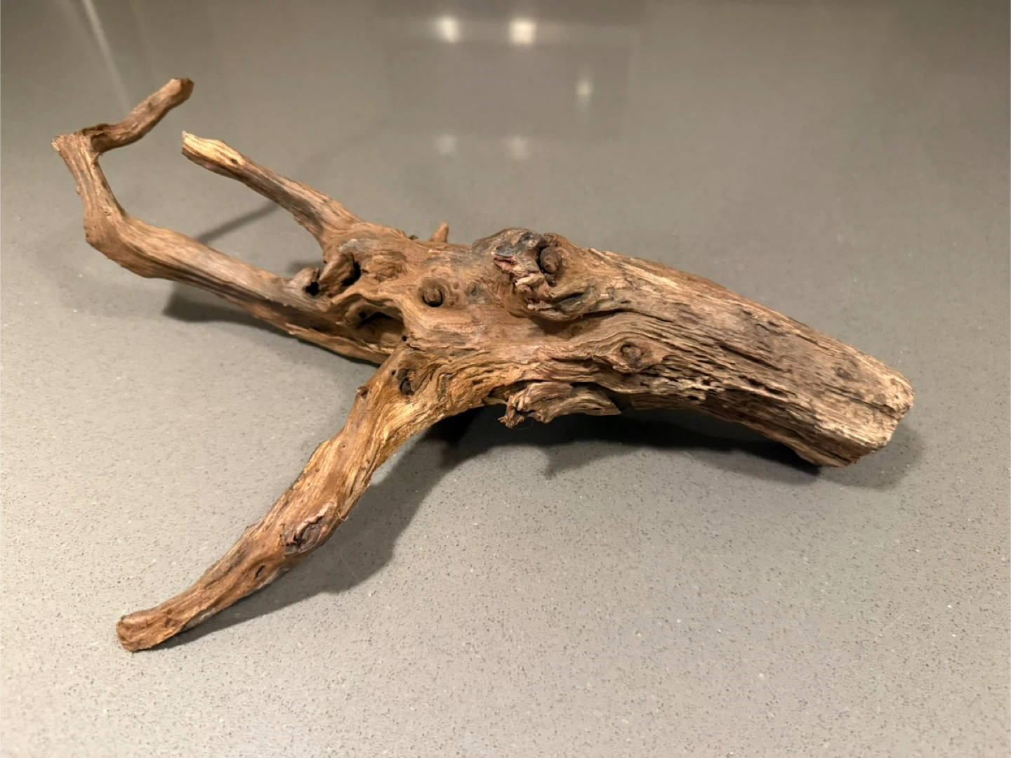 Brand New Aquarium Driftwood - photo 2