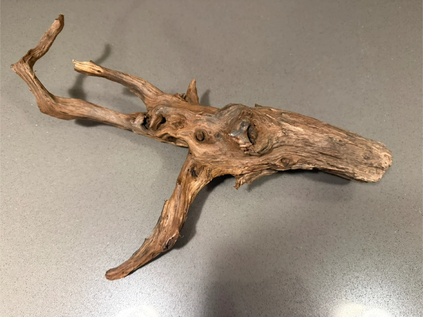 Brand New Aquarium Driftwood