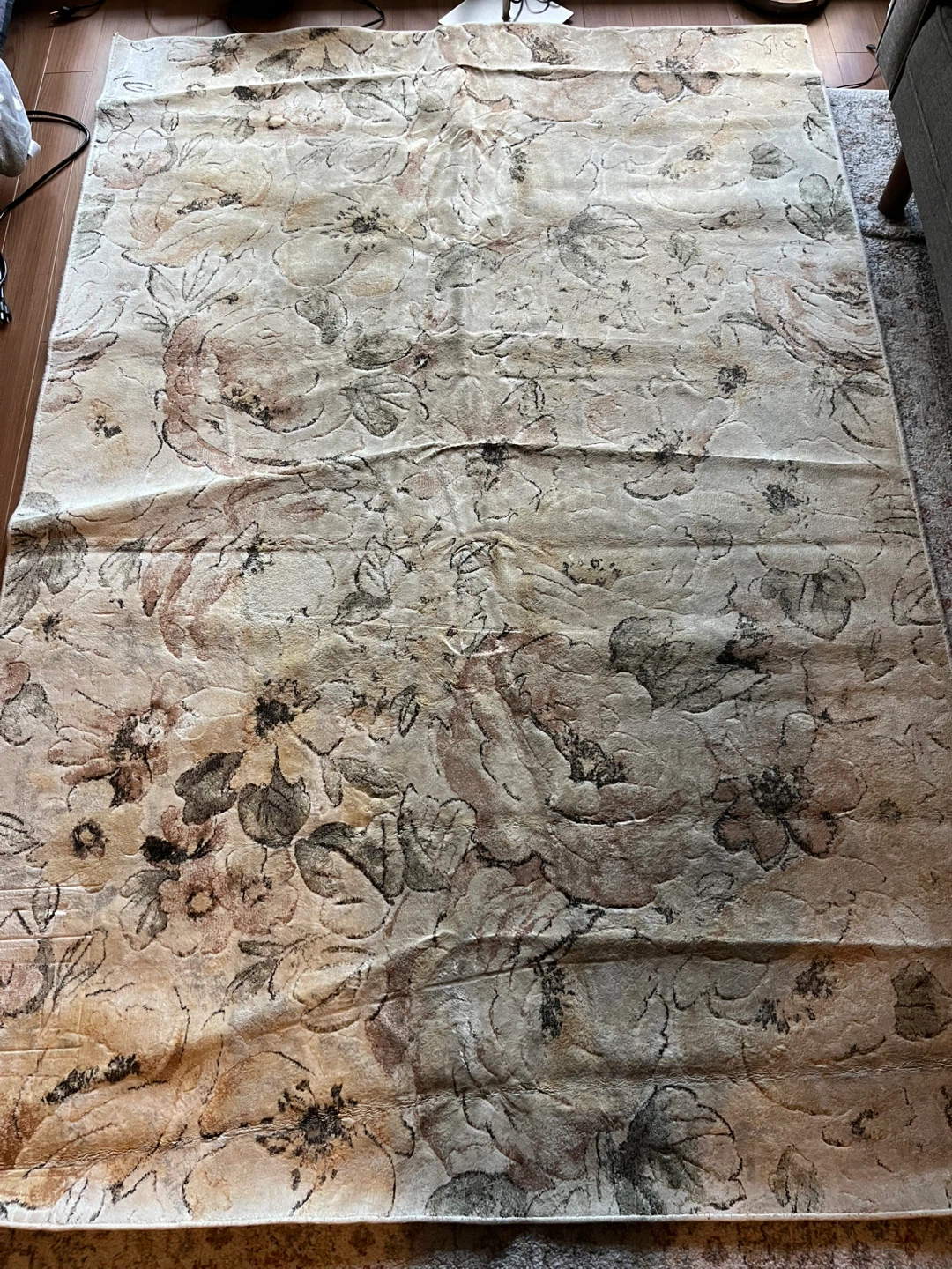 FREE Floral Area Rug 5'3" x 7'7"