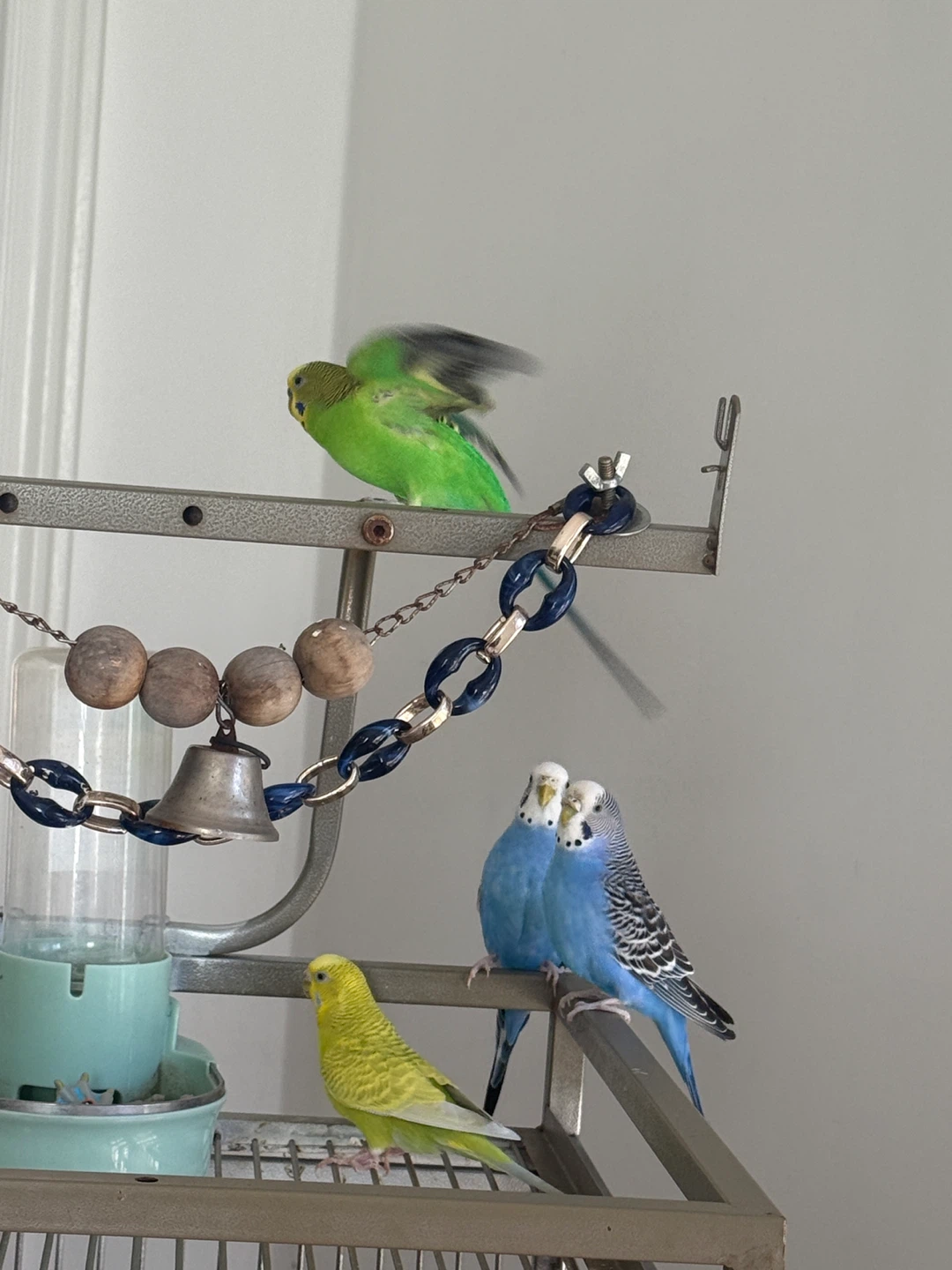 Large Budgie Cage - photo 3
