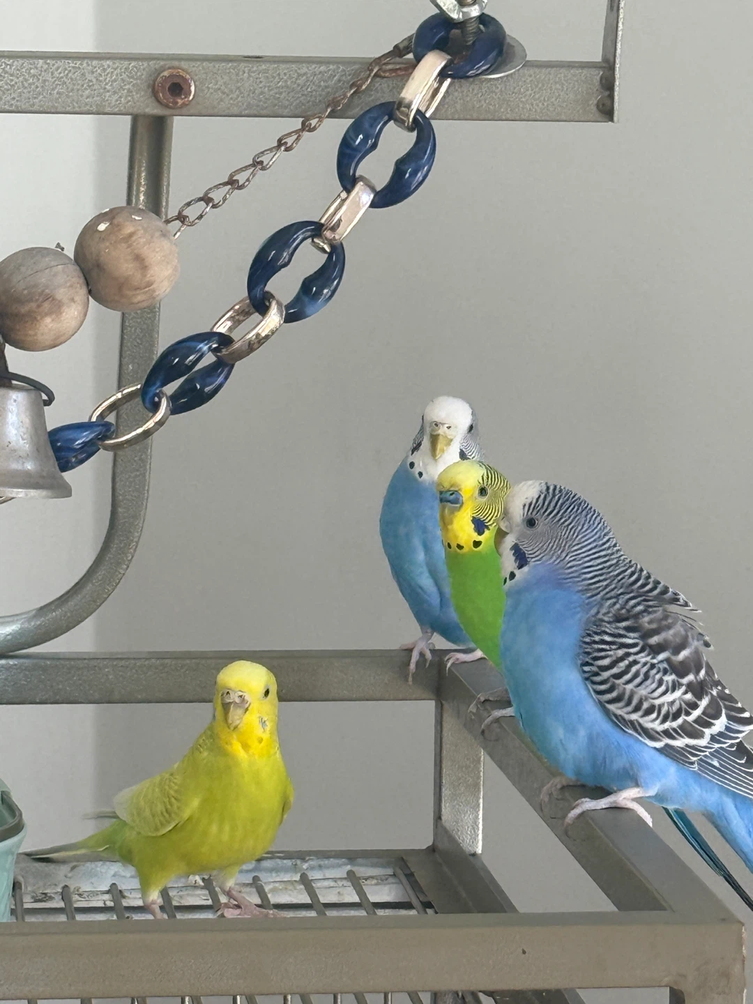 Large Budgie Cage - photo 2