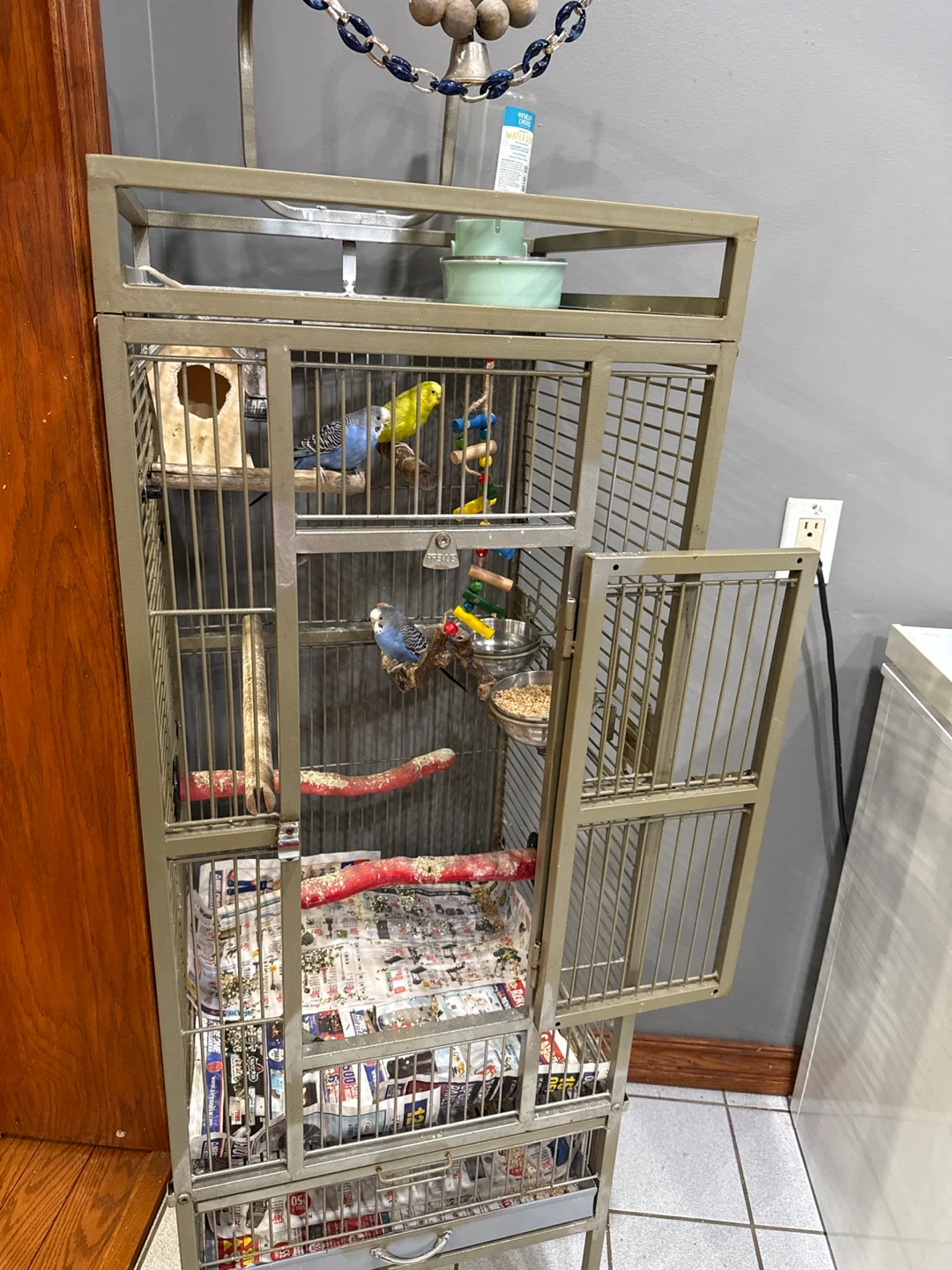Large Budgie Cage - photo 4
