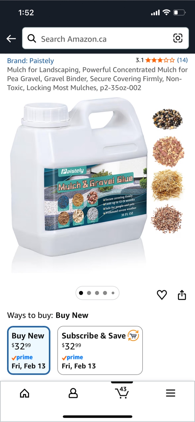Paistely Mulch & Gravel Glue 35 FL OZ