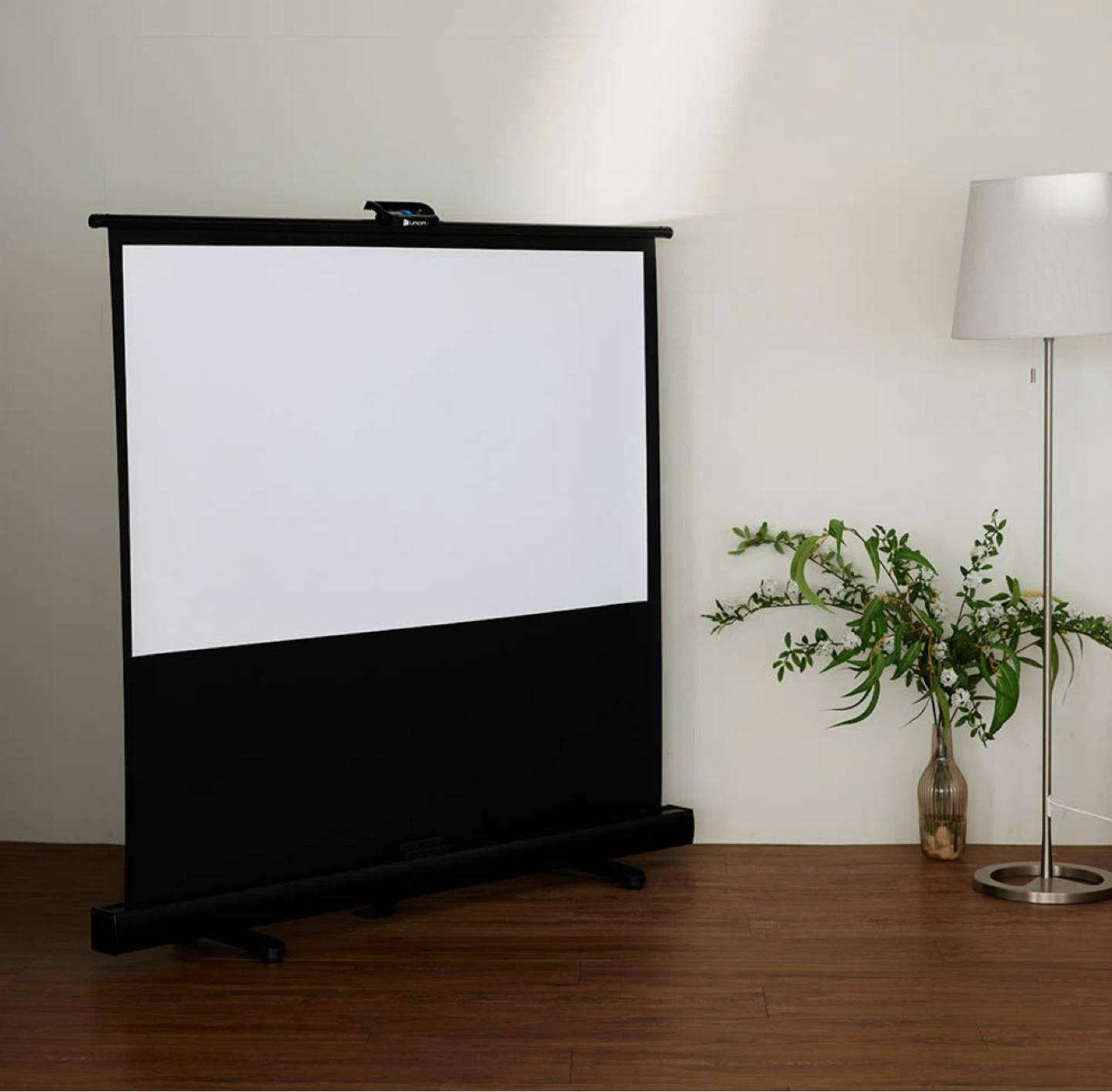 Projector Screen (74inch)