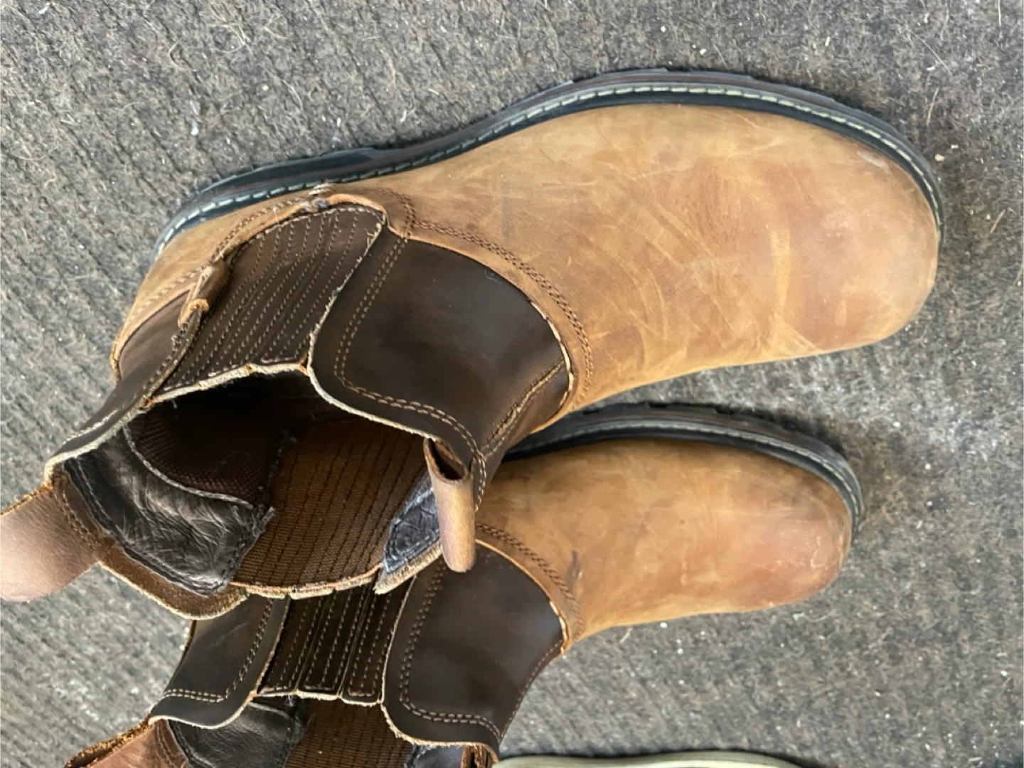 Skechers Chelsea Boots