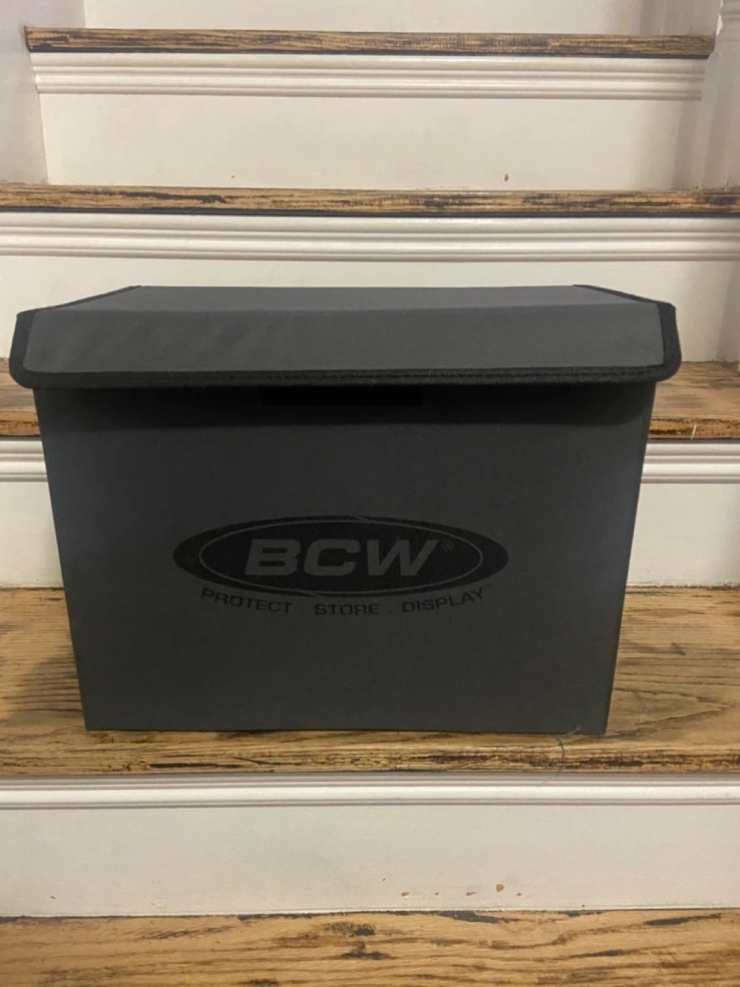 BCW Raw Comic Book Mesh Box