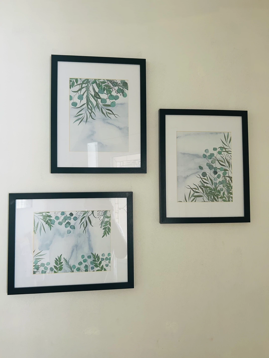 Set of 3 Framed Botanical Prints