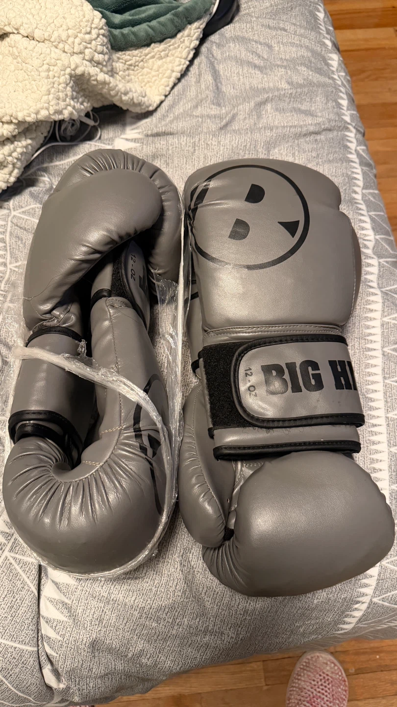 Big Hit 12 oz Boxing Gloves
