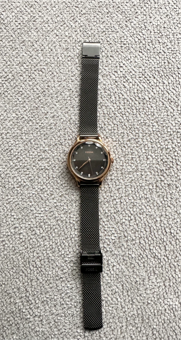 Fossil Laney Three-Hand Smoke Stainless Steel Watch